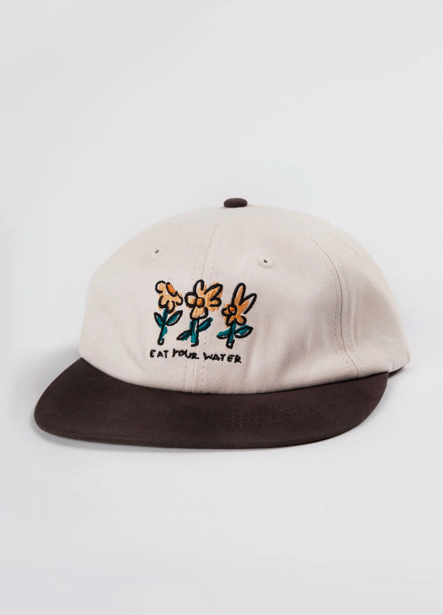 Field 6 Panel